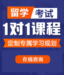 大乳小母狗大声求饶射留学考试一对一精品课